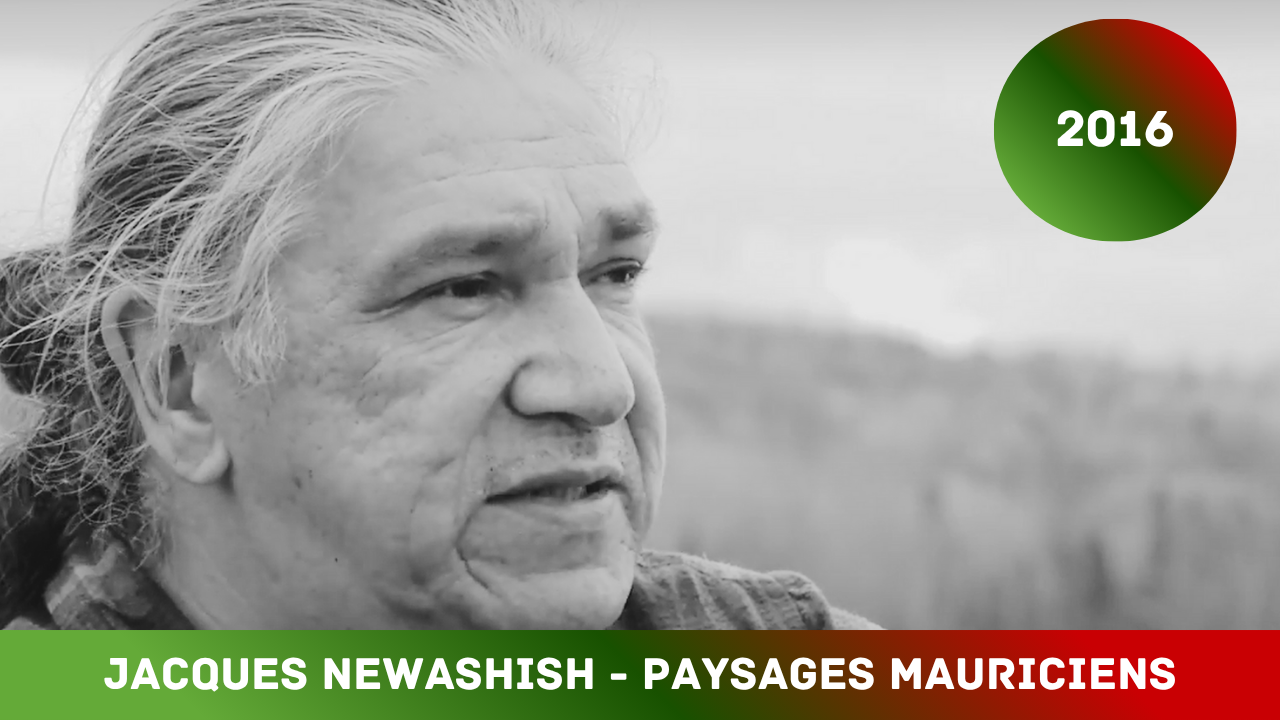 Jacques Newashish - Paysages Mauriciens