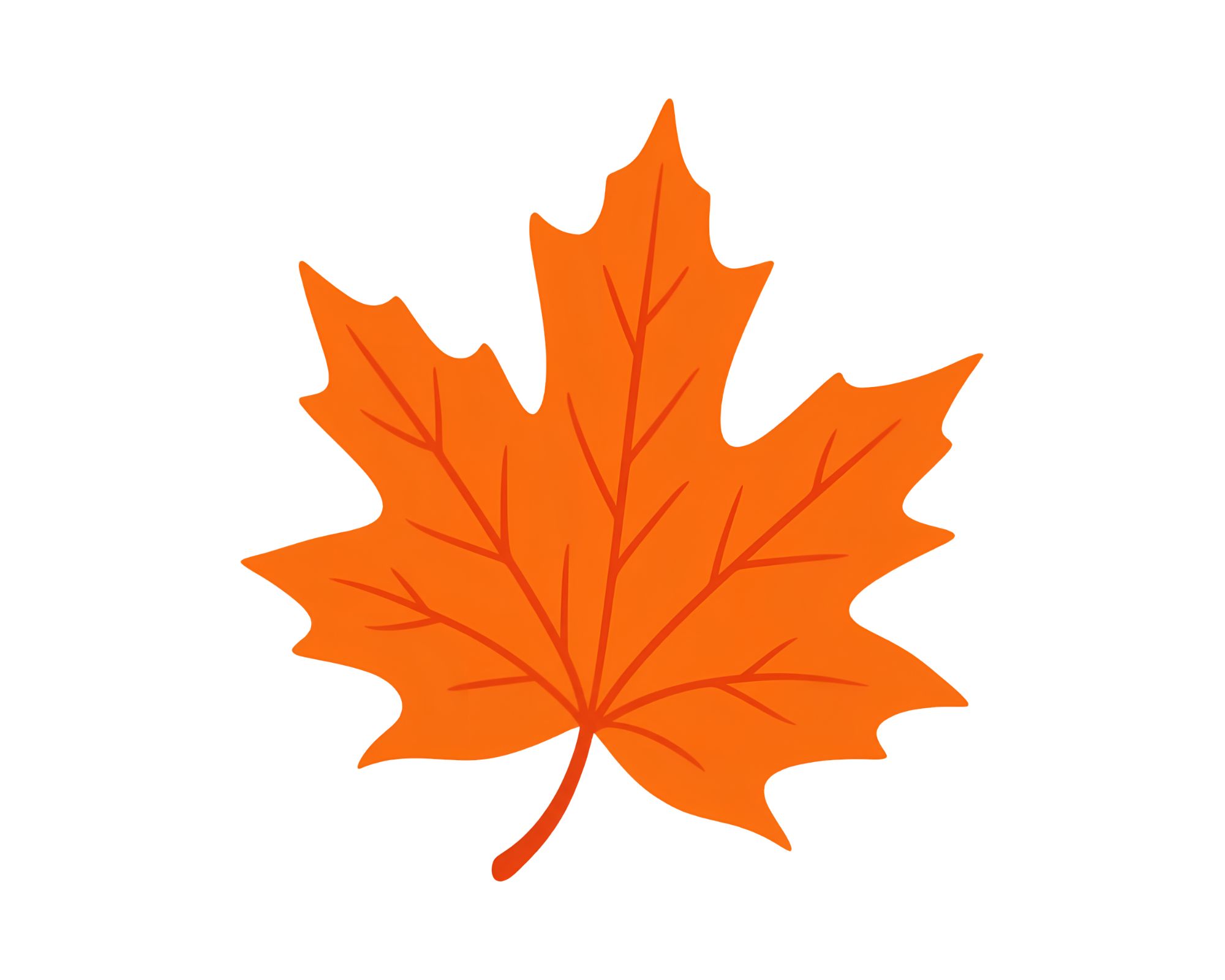 Feuille