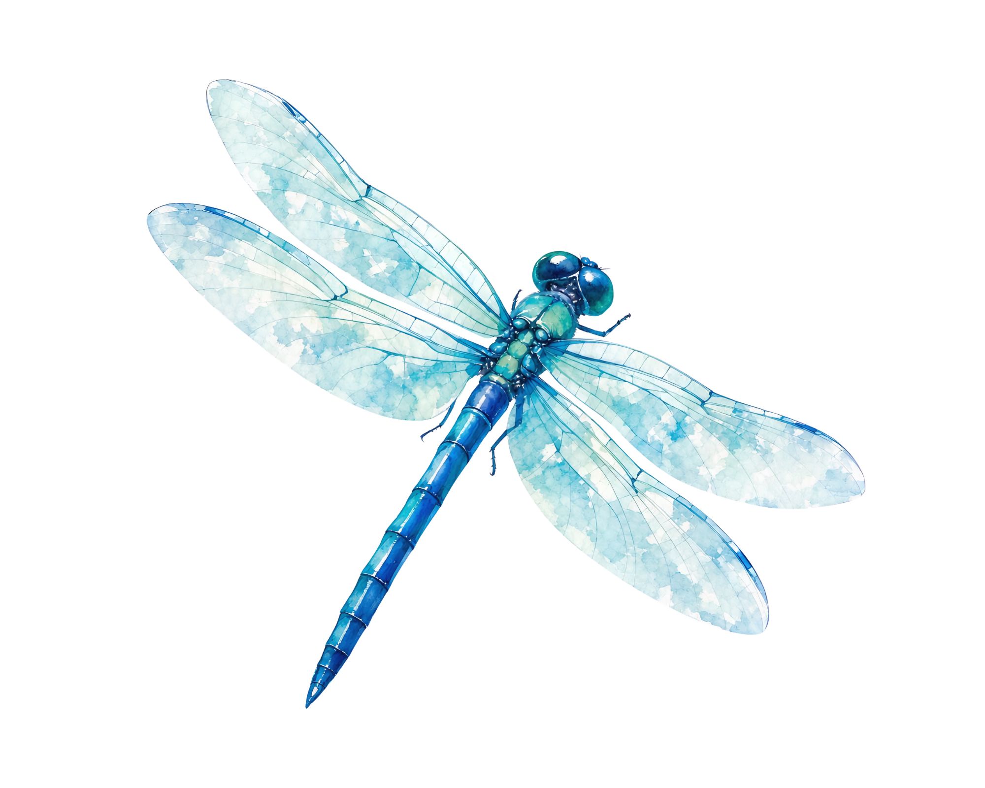Libellule