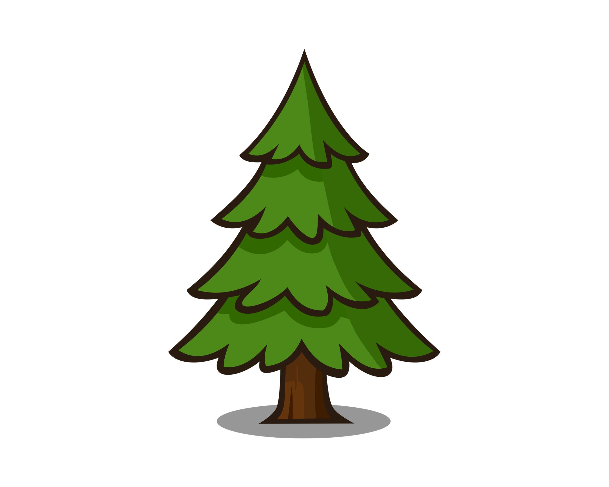 Sapin
